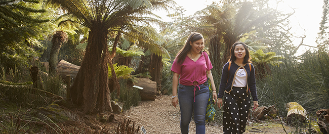 Two female students walking through the University of Bristol Botanic Garden.